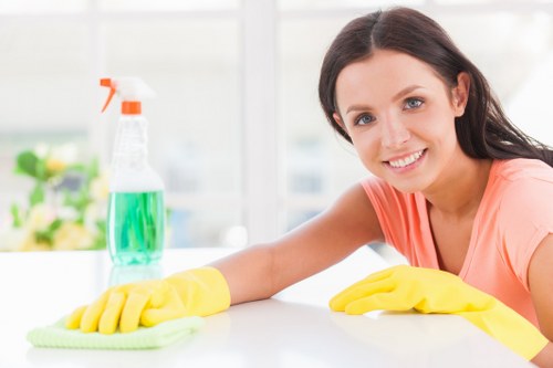 Professional cleaners working in Elephant and Castle residential property