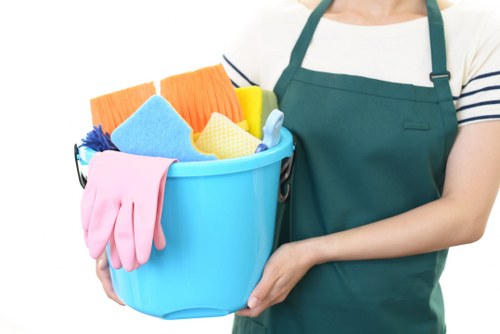 Cleaner in Elephant and Castle using safe procedures in a home setting