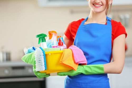 Professional move-in cleaning for a flat in Elephant and Castle