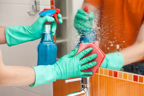 Professional steam carpet cleaning for an Elephant and Castle home carpet