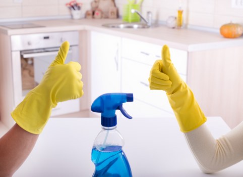 Deep cleaning of an oven door and racks in a local South London property