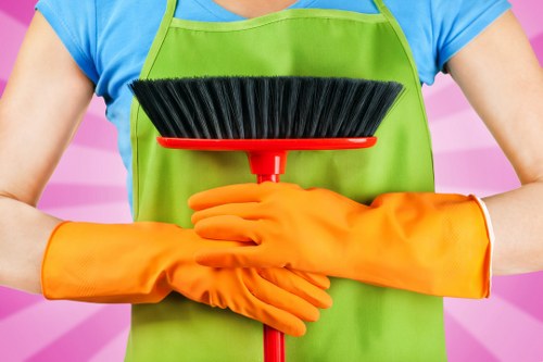 Deep cleaning by cleaners in Elephant and Castle