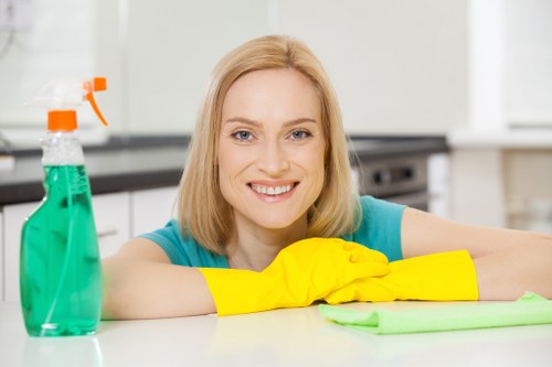 Deep cleaning treatment for office carpets in the Elephant and Castle area