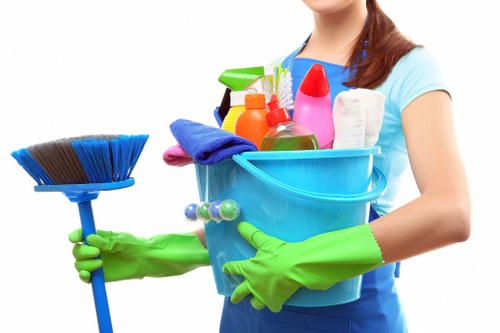 Airbnb cleaning for modern apartments in Elephant and Castle