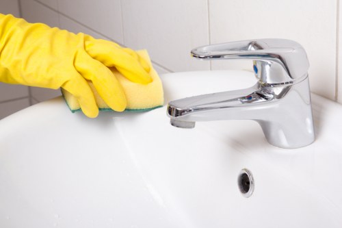 Regular cleaning service for homes and flats in Elephant and Castle