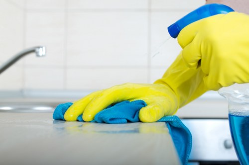 Deep cleaning treatment for pet urine odour on carpet in Elephantandcastle