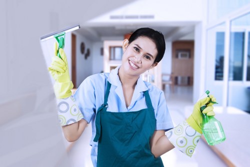 Upholstery and rug pet stain removal service in Elephantandcastle