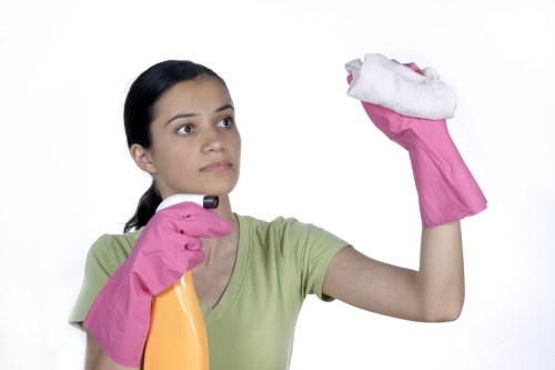 Cleaner inspecting cleaning equipment before use