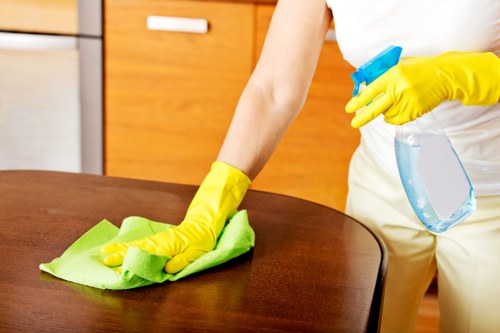 Local cleaners working in an Elephant and Castle apartment building